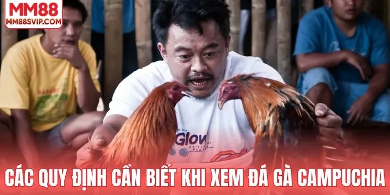 Các quy định cần biết khi xem đá gà Campuchia