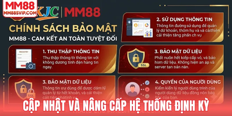 Cập nhật và nâng cấp hệ thống định kỳ