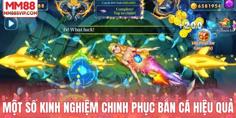 Một số kinh nghiệm chinh phục bắn cá hiệu quả