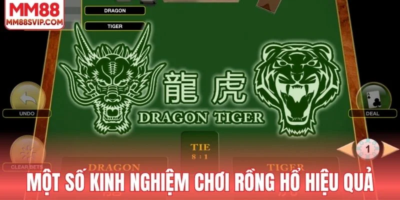 Một số kinh nghiệm chơi Rồng Hổ hiệu quả