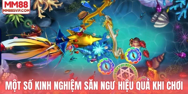 Một số kinh nghiệm săn ngư hiệu quả khi chơi